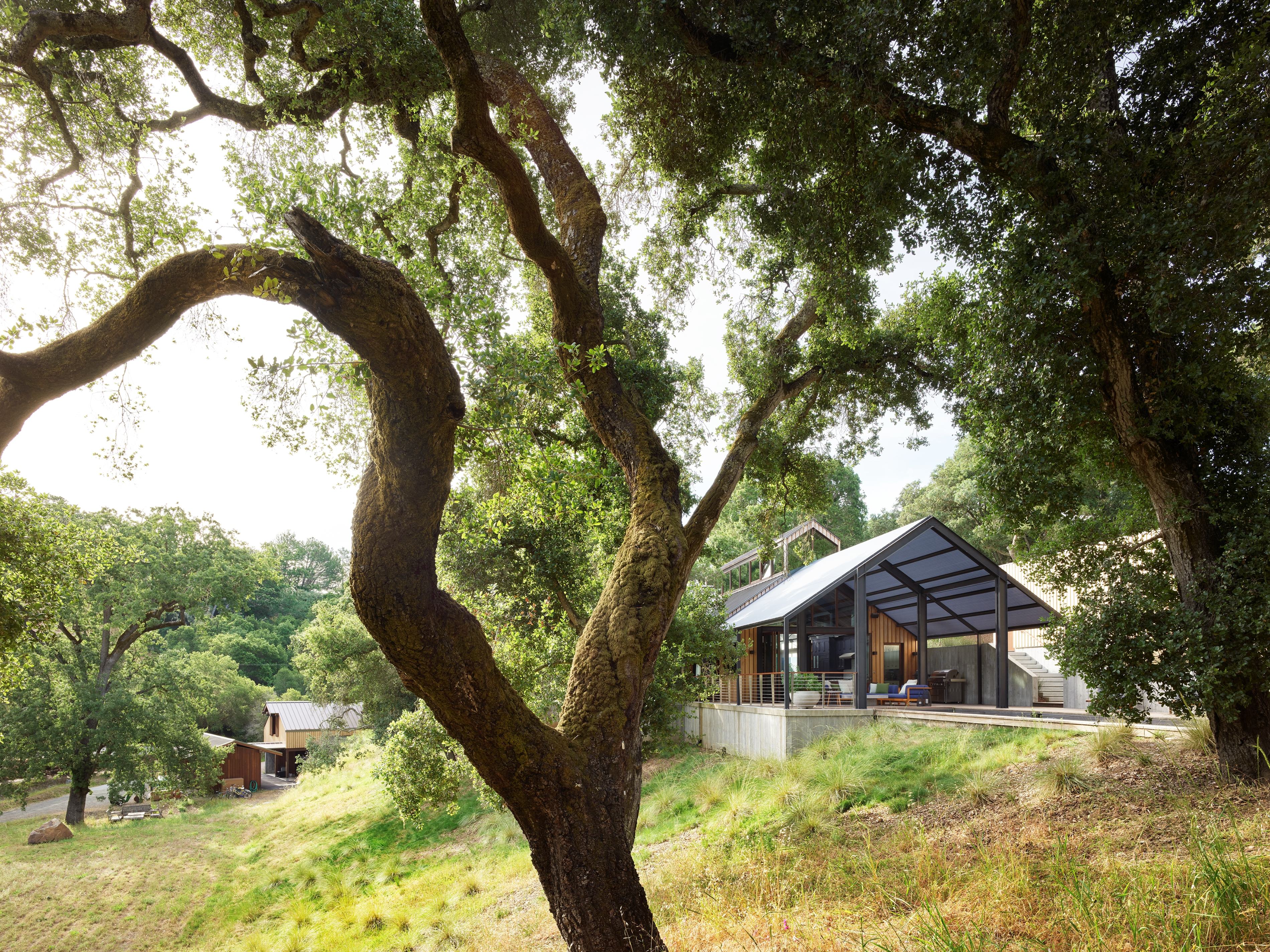 NYT Field Portola Valley 0155