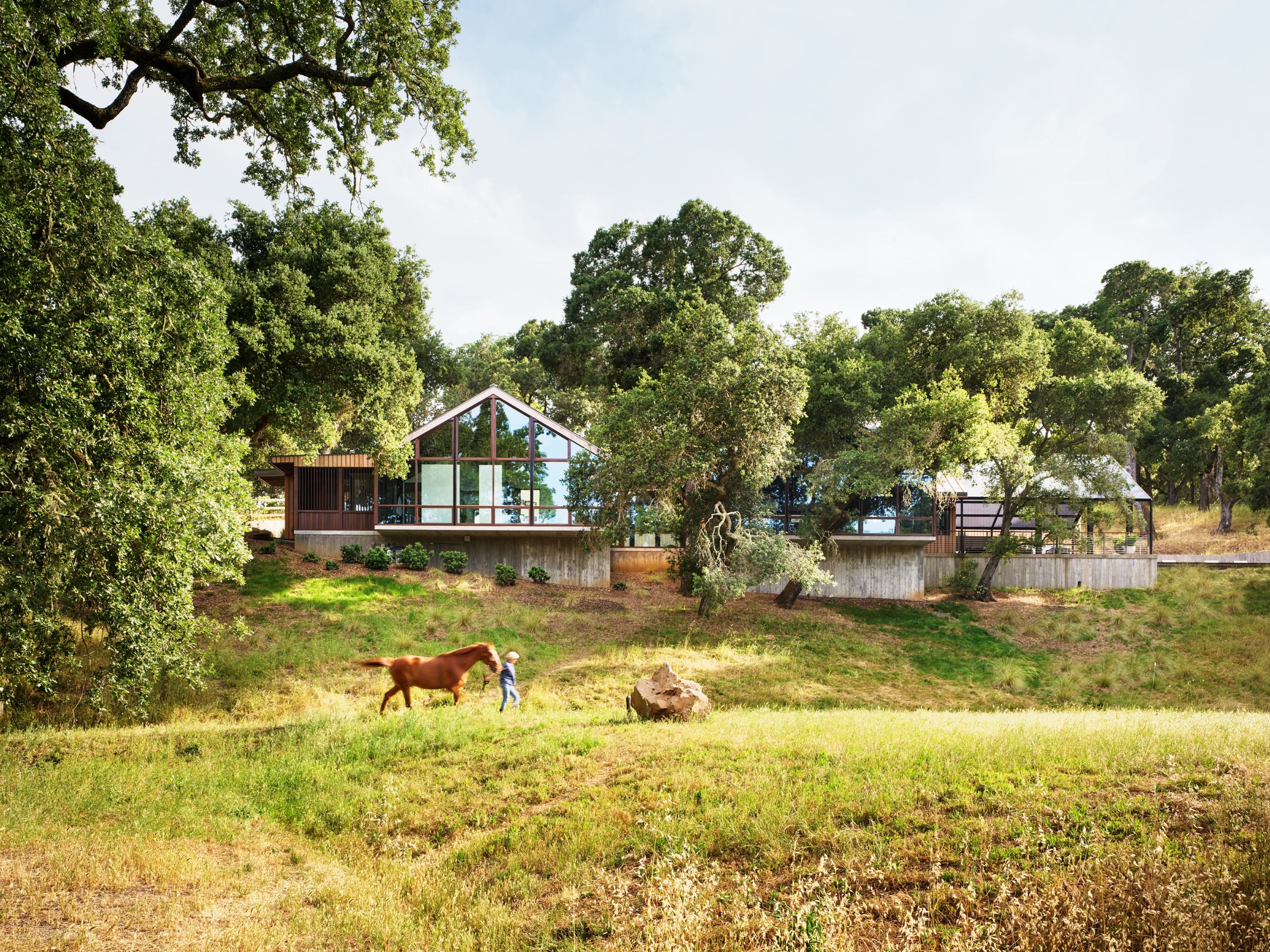 NYT Field Portola Valley 1084